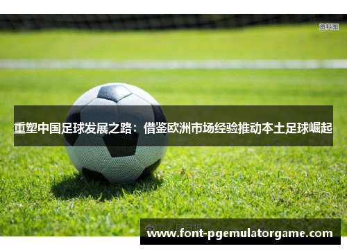 重塑中国足球发展之路：借鉴欧洲市场经验推动本土足球崛起