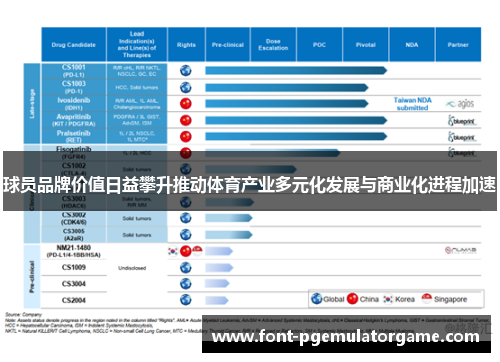 球员品牌价值日益攀升推动体育产业多元化发展与商业化进程加速